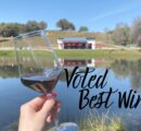 Exploring Excellence: The World’s Best Wineries
