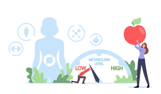 Unraveling the Mysteries of Metabolism: What Impacts Your Energy Burn